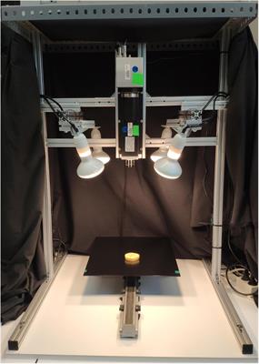 Evaluation of near-infrared hyperspectral imaging for the assessment of potato processing aptitude